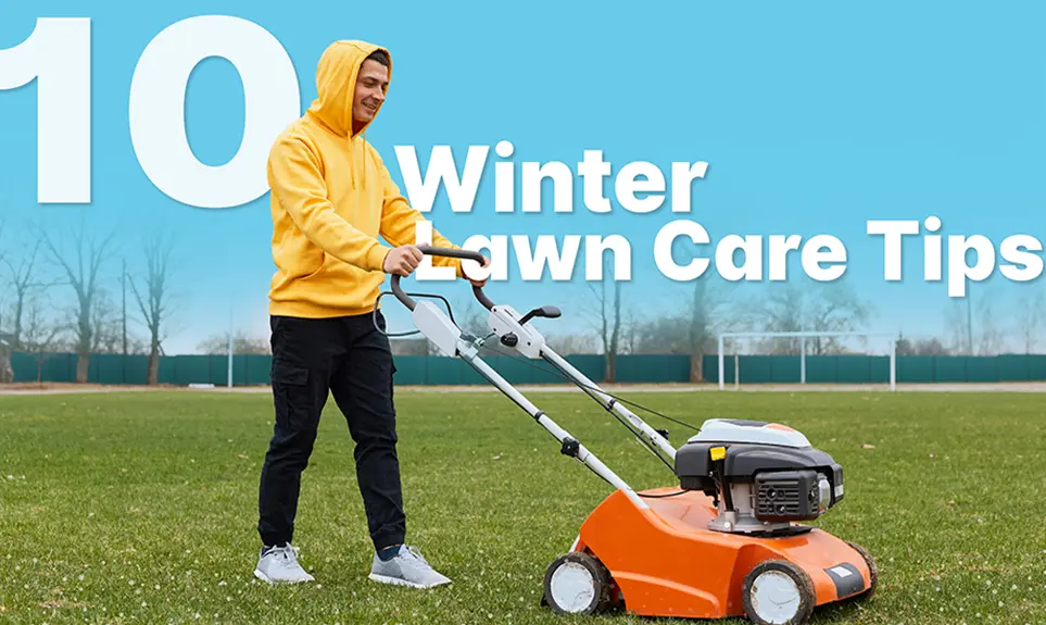 10 Essential Winter Care Tips You Need to Know