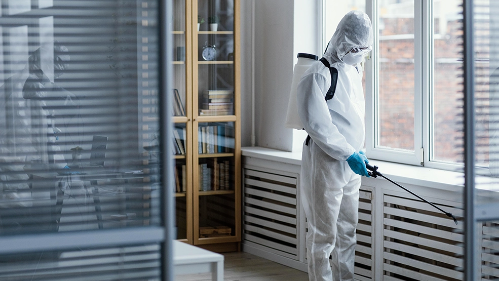 Effective Pest Control Methods For Residential Properties