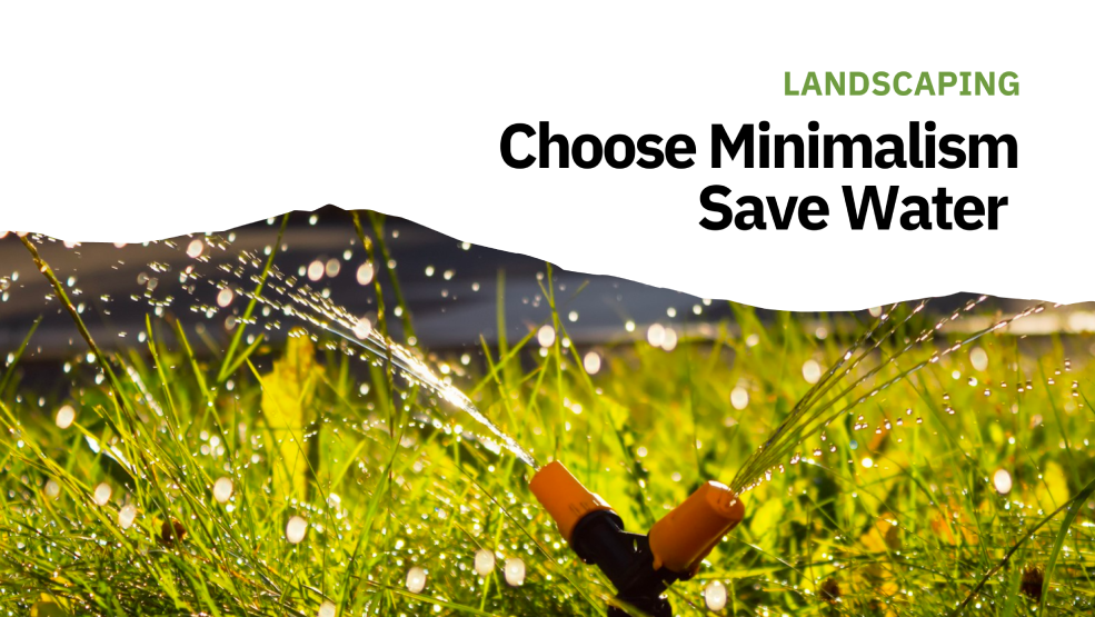 Green Savings: Maximizing Landscaping Benefits Through (Smart) Irrigation Strategies