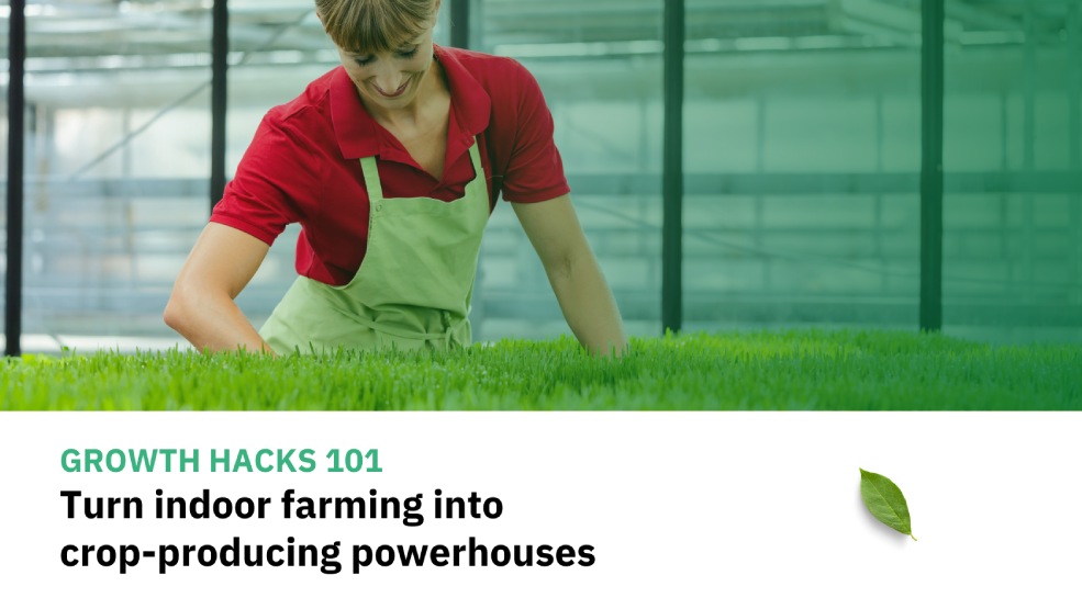 GROWTH HACKS 101: Turn indoor farming into crop-producing powerhouses